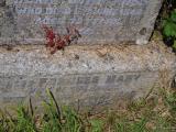 image of grave number 951743